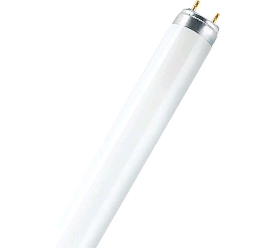 L 15W/865 25X1 LF                  OSRAM