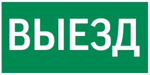пиктограмма "ВЫЕЗД" 300х150мм для аварийно-эвакуационного светильника Giant/Vision/Twofold/Evade/Resist