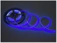 NEW FLEX-SS5600B-B 5M Гибкая LED полоса,12V, белая основа (Синяя)