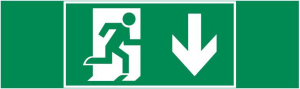 пиктограмма "ФИГУРА / СТРЕЛКА ВНИЗ" 310х90мм для аварийно-эвакуационного светильника Basic IP65