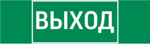 пиктограмма "ВЫХОД" 310х90мм для аварийно-эвакуационного светильника Basic IP65