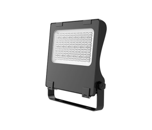 Светильник Прожектор ДО08-100-001 FLG 750