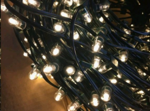 Клип - лайт LP 100-300-24 (30) (Бухта 100м)