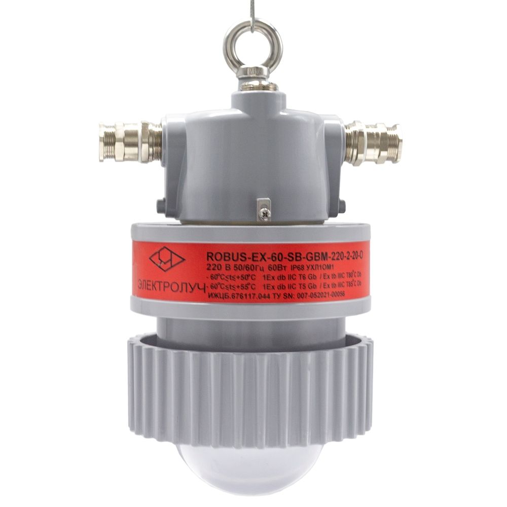 Светильник ROBUS-EX-30-EM-СРС-220-2-25-О/АК