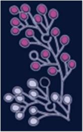 Консоль <Флора> Мимоза К-1 (2520*1330)