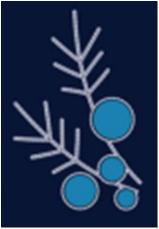 Консоль <Иней> Цветик К-2 (1700*1080)