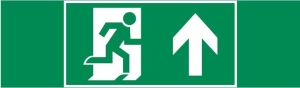 пиктограмма "ФИГУРА / СТРЕЛКА ВВЕРХ" 310х90мм для аварийно-эвакуационного светильника Basic IP65