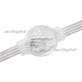 Модуль управляемый 3D-PIXEL-DMX-3535-2-12V RGB 360deg (23x34mm, 0.72W, IP65) (Arlight, Пластик, 3 года)