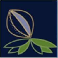 Консоль <Флора> Инжир К-2 (1870*2250)